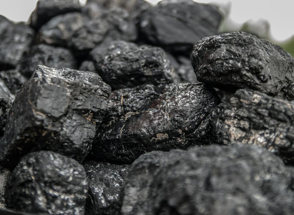 Steam Coal — 20–100 mm (sized grades)